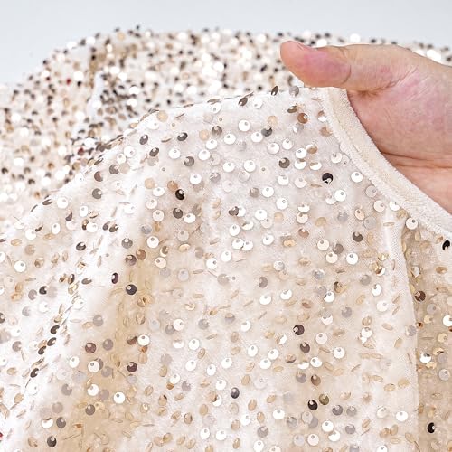 Champagne Gold Christmas Tree Skirt 24 Inches Small Tree Skirt Velvet Sequin Tree Skirt for Christmas Tree Mat Decorations - Image 6