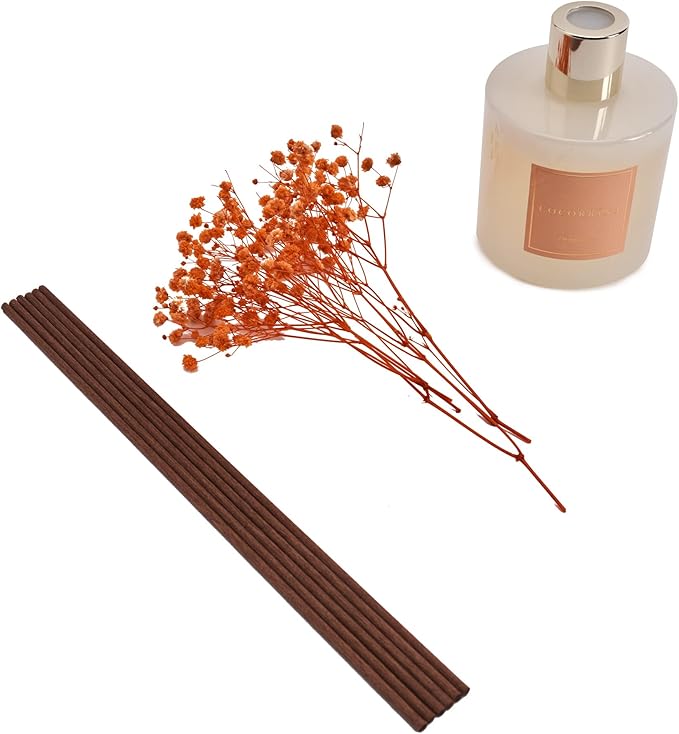 Cocorr??na Premium Reed Diffuser Set with Preserved Baby's Breath & Cotton Stick Coconut Lime | 6.7oz Scent Fragrance Oil Diffuser for Bedroom Bathroom Home D??cor