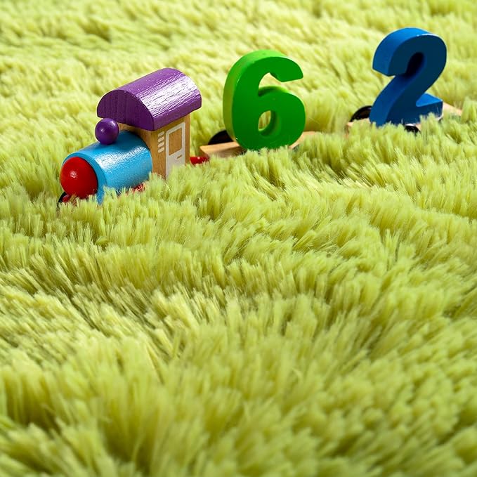 Noahas Door Mat Indoor Entrance,2x3 Shaggy Small Green Area Rugs for Entryway,Non-Slip Fluffy Entry Bedroom Rug,Soft Plush Bedside Throw Kids Carpet