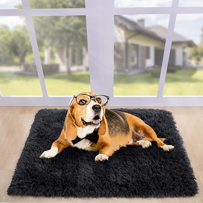 Noahas Door Mat Indoor Entrance,2x3 Shaggy Small Black Area Rugs for Entryway,Non-Slip Fluffy Entry Bedroom Rug,Soft Plush Bedside Throw Kids Carpet