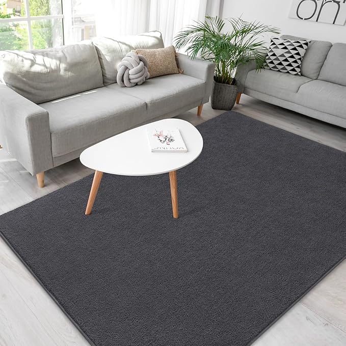 Soft Rugs for Living Room 4x6 Dark Grey, Minimalist Area Rug for Bedroom Nursery Dining Table Dorm, Throw Rugs for Men Boys Girls Kids Room Indoor Floor Carpets