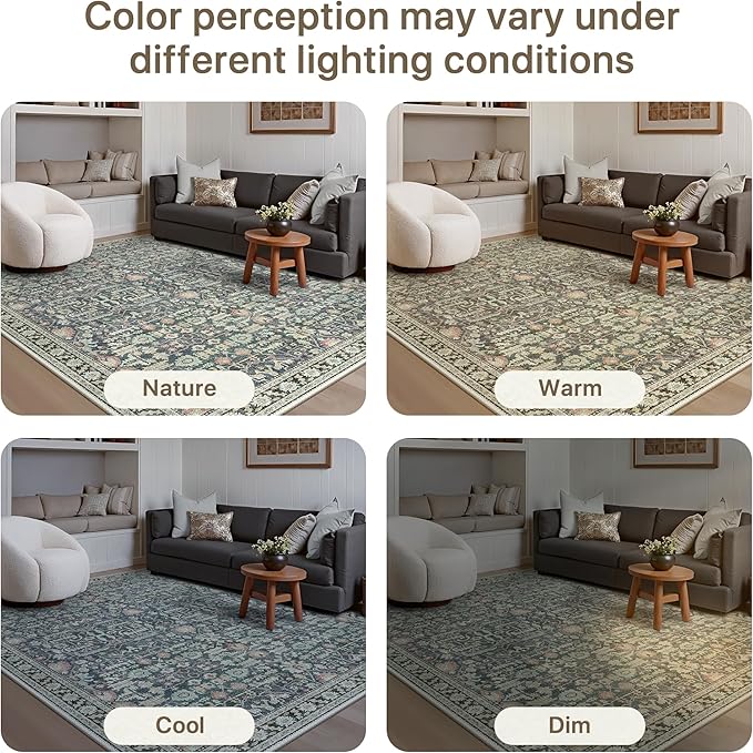 Bavni Area Rugs for Living Room, 5x7 Washable Rug Non-Slip Washable,Ultra-Thin Aesthetic Boho Rug for Bedroom Dinning Room Office,Green/Blue