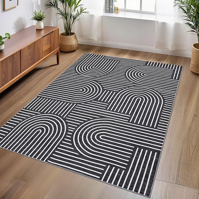 ROYHOME Washable Rug 3x5 Area Rugs for Living Room, Abstract Rug for Bedroom, Soft Rainbow Non Slip Throw Rugs with Rubber Back, Low Pile Stain Resistant Boho Geometric Carpet for Dining Room, Black