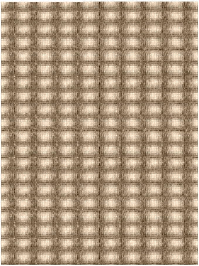 IOHOUZE Washable Area Rug 6x9 Non Slip Rubber Backed Woven Rugs for Living Room, Dining Room Rugs Bedroom Rug, Floor Carpet for Living Room Nursery Office, Orange/Tan/Brown