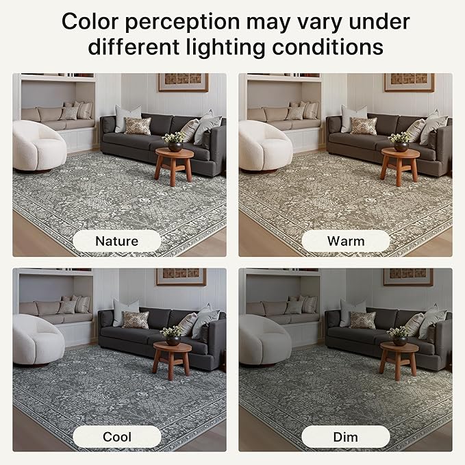 Bavni Area Rugs for Living Room, 5x7 Area Rugs Non-Slip Washable,Ultra-Thin Aesthetic Boho Rug for Bedroom Dinning Room Office, Gery