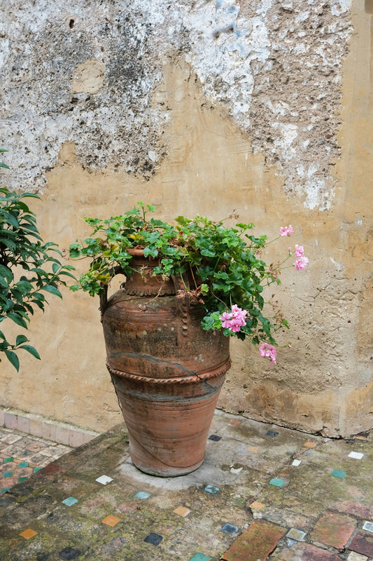 [DECOMENT] The "Rubber Band Vase Stem Grid": How to stop flower arrangement stems from flopping outward in wide bowls