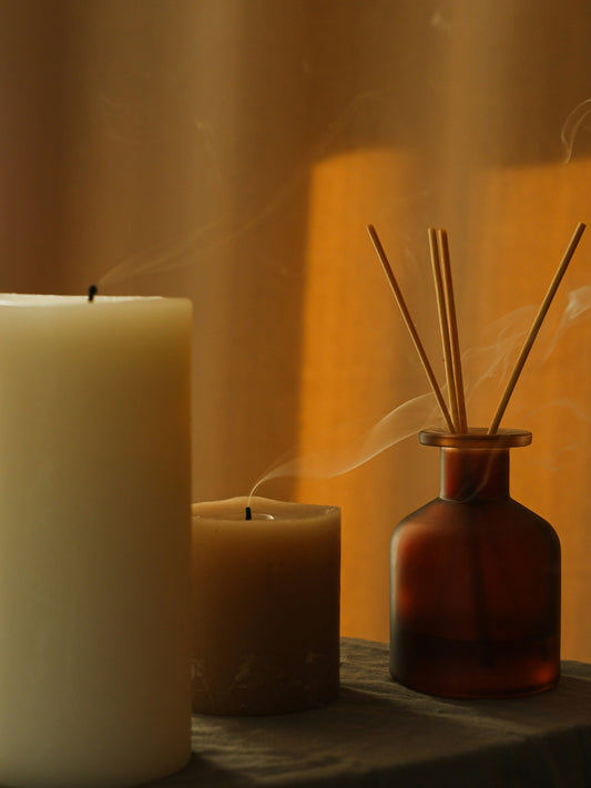 [DECOMENT LAB] Olfactory Dynamics: The Hidden Architecture of Scent