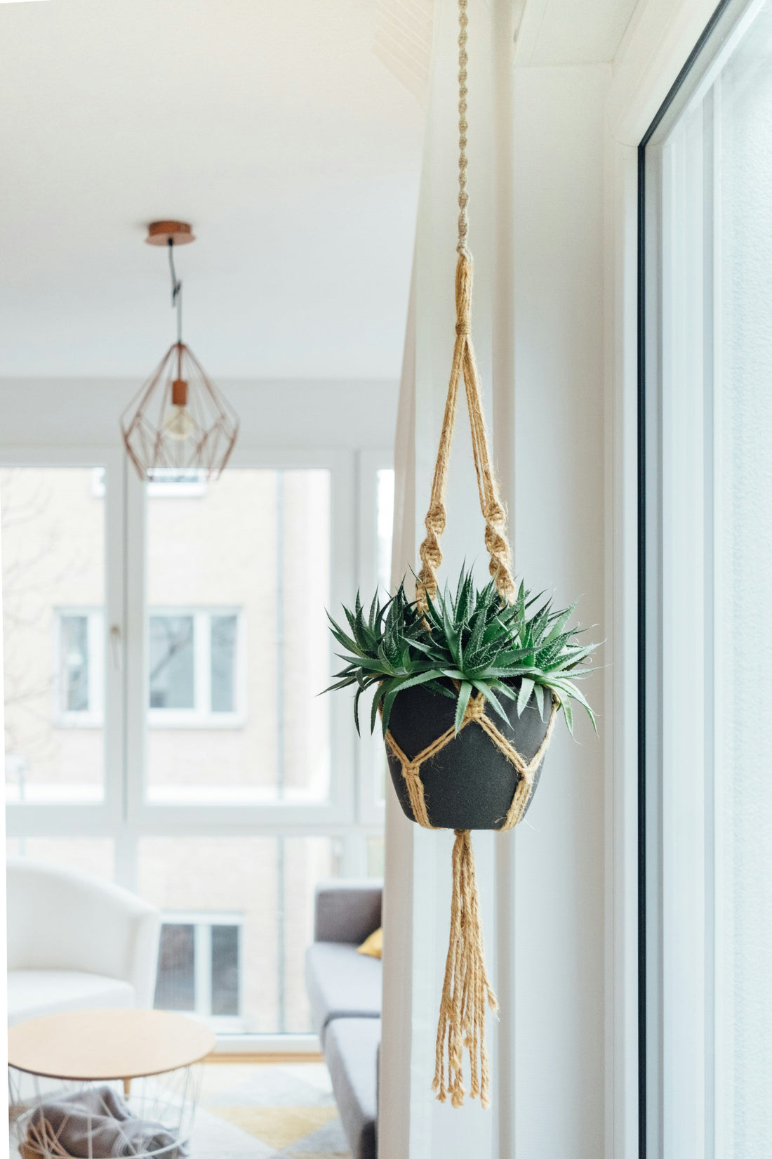 [DECOMENT] The "Clear Fishing Line Plant Hanger": How to create a modern floating indoor plant display without drilling ceiling hooks
