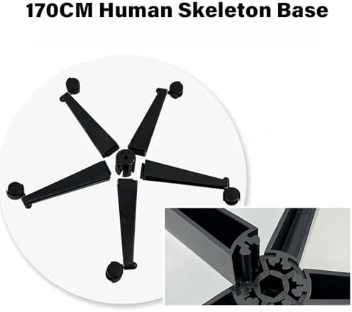 170cm Skeleton Model Christmas Tree Stand Base with for Anatomy Education & Academic Displays Christmas Tree Base - Image 7