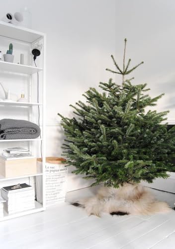 Rocky Mountain Goods Live Christmas Tree Stand for 3-5 Foot Real Tree - Heavy Duty Plastic - 3 Secure Eye Bolts for Easy Install - Steel Spike for Straight Tree - Easy Water - Fits 1.25" - 4.5" Trunk - Image 5