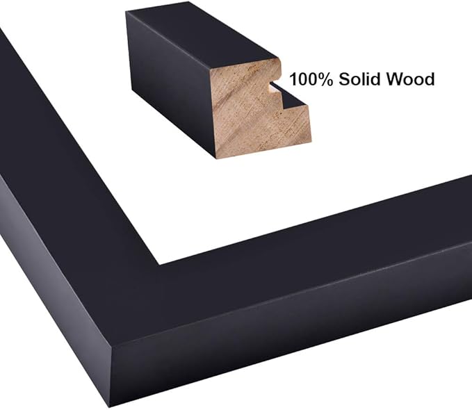 RPJC 8x14 Soild Wood 2 Opening Picture frames with High Definition Glass Display 4x6 and 5x7 with Mat or 8x14 Without Mat for Wall Mounting Hanging Collage Photo Frame Black