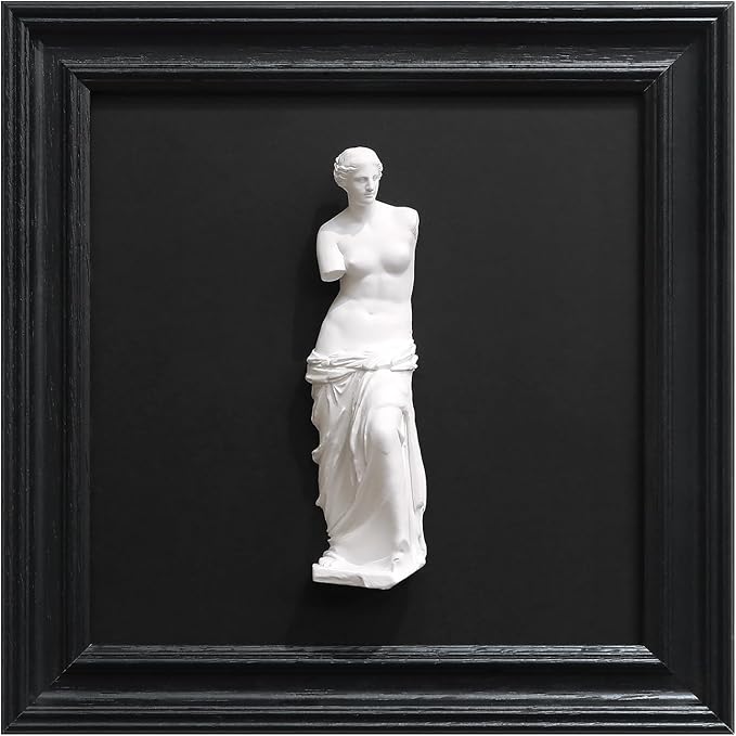 FOLKOR LIFE Framed Black and White Wall Art Sculpture Venus de Milo, Greek Roman Mythology Goddess Aphrodite Statue Framed Plaster Relief Wall Decor for Living Room, Hallway, Entryway Decoration