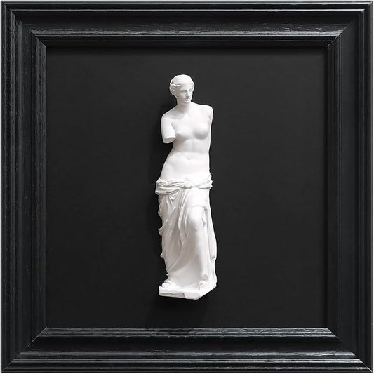 FOLKOR LIFE Framed Black and White Wall Art Sculpture Venus de Milo, Greek Roman Mythology Goddess Aphrodite Statue Framed Plaster Relief Wall Decor for Living Room, Hallway, Entryway Decoration