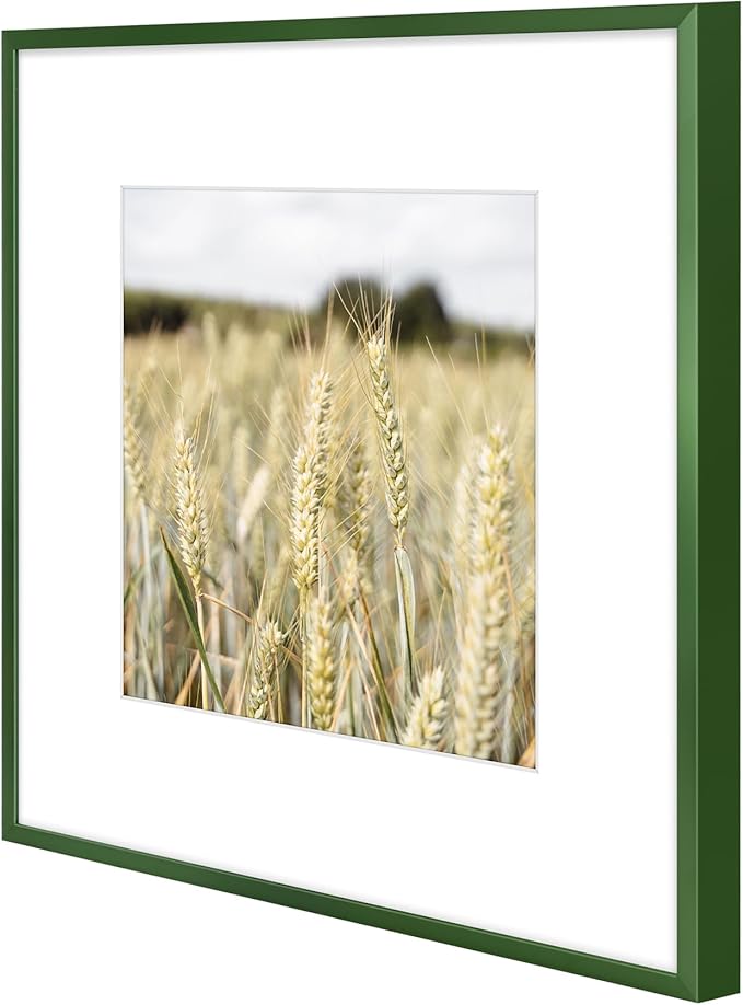 Golden State Art 12x12 Picture Frame 6 Pack - Dark Green Aluminum Photo Frames With 8x8 Mats and Real Glass Cover - Elegant Minimalist Wall Gallery Frames for Home or Office Decor