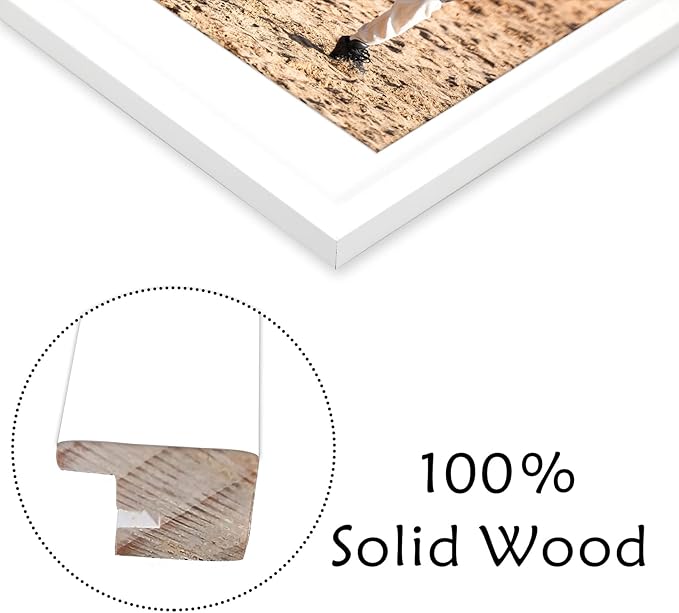 Golden State Art, 14x16 White Wood Picture Frame - White Mat for one 8x10 and Three 4x6 Photos - Tempered Glass, Sawtooth Hanger, Swivel Tabs - Wall Mounting - Great for Gift