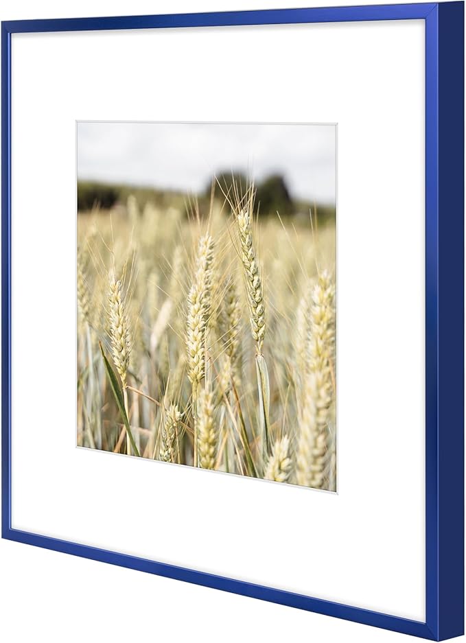 Golden State Art 12x12 Picture Frame 6 Pack - Navy Blue Aluminum Photo Frames With 8x8 Mats and Real Glass Cover - Elegant Minimalist Wall Gallery Frames for Home or Office Decor