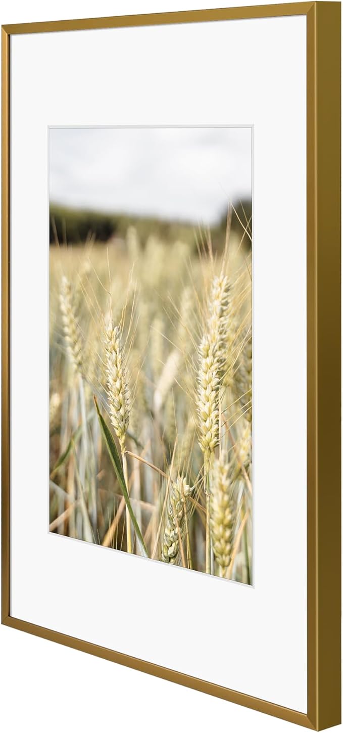 Golden State Art 11x17 Picture Frame 6 Pack - Vintage Bronze Aluminum Photo Frames With 8x12 Mats and Real Glass Cover - Elegant Minimalist Wall Gallery Frames for Home or Office Decor