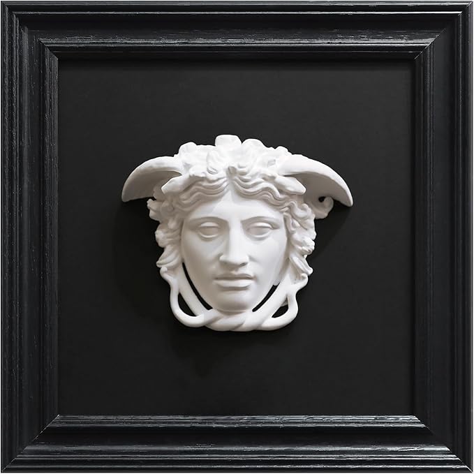 FOLKOR LIFE Medusa Wall Sculpture, 3D Medusa Relief Black and White Wall Art, Classical Greek Goddess Wall Hanging Sculpture for Living Room, Bedroom, Gothic or Modern Home Decor