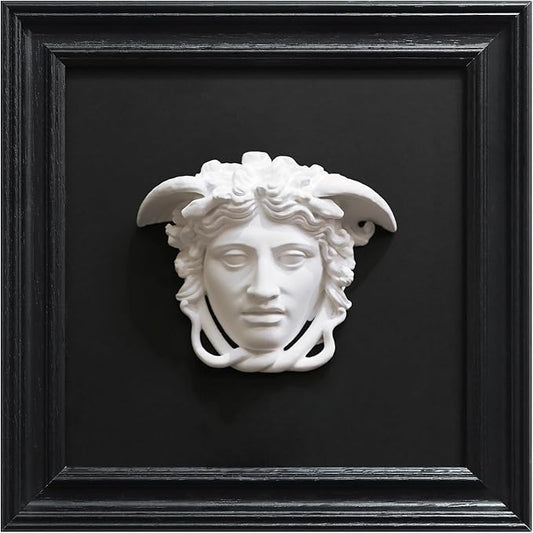 FOLKOR LIFE Medusa Wall Sculpture, 3D Medusa Relief Black and White Wall Art, Classical Greek Goddess Wall Hanging Sculpture for Living Room, Bedroom, Gothic or Modern Home Decor