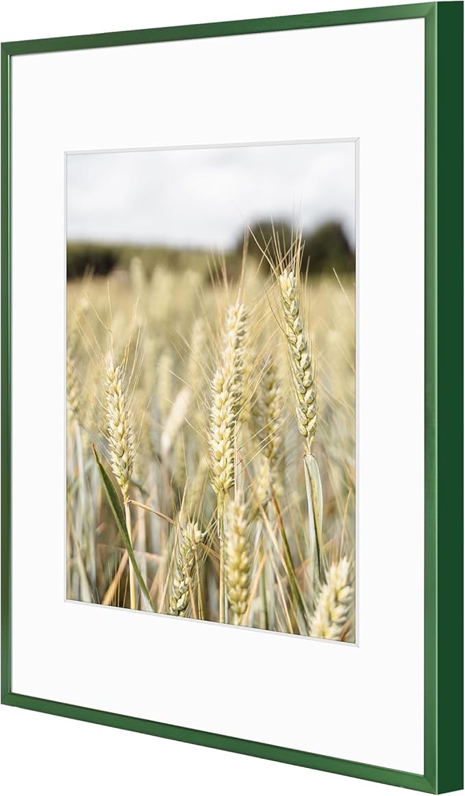 Golden State Art 11x14 Picture Frame 6 Pack - Dark Green Aluminum Photo Frames With 8x10 Mats and Real Glass Cover - Elegant Minimalist Wall Gallery Frames for Home or Office Decor