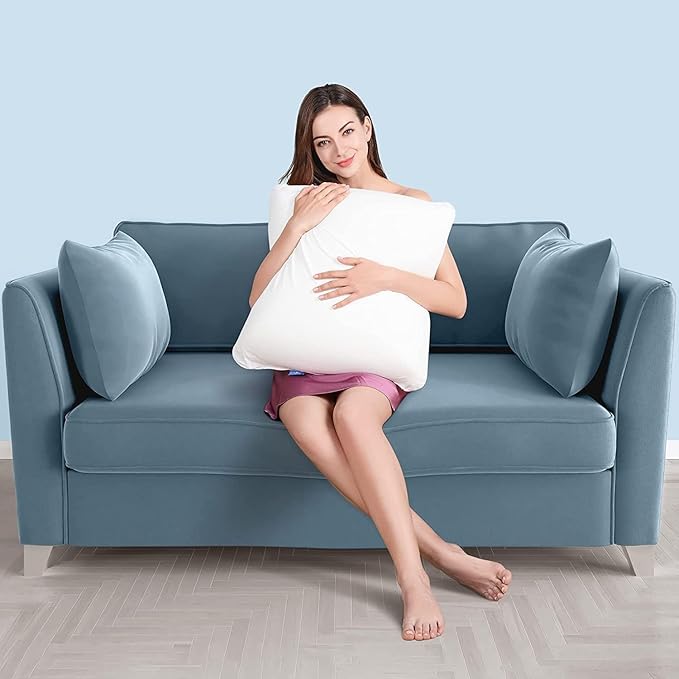 AM AEROMAX 20 × 20 Throw Pillow (Pack of 4) Memory Foam Pillow Insert - Square Accent Pillow for Decorative Cushion Bed Couch Sofa - Non-Deforming Over Time