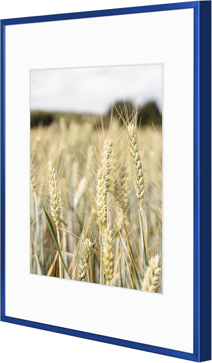 Golden State Art 11x14 Picture Frame 6 Pack - Navy Blue Aluminum Photo Frames With 8x10 Mats and Real Glass Cover - Elegant Minimalist Wall Gallery Frames for Home or Office Decor