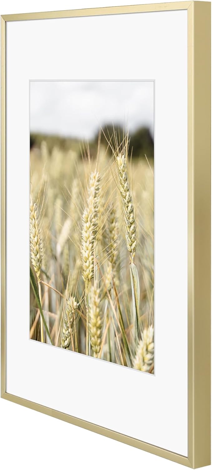 Golden State Art 11x17 Picture Frame 6 Pack - Soft Gold Aluminum Photo Frames With 8x12 Mats and Real Glass Cover - Elegant Minimalist Wall Gallery Frames for Home or Office Decor