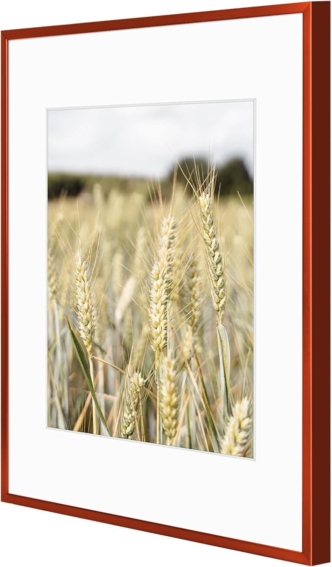 Golden State Art 11x14 Picture Frame 6 Pack - Dark Red Aluminum Photo Frames With 8x10 Mats and Real Glass Cover - Elegant Minimalist Wall Gallery Frames for Home or Office Decor