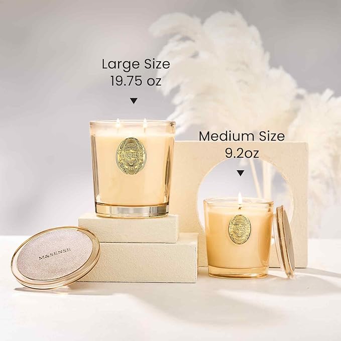 M&SENSE Large Two-Wick Soy Candle | Cheer Champagne & Gold | 19.8 oz, 120H Burn Time | Luxury Scented Candle for Relaxation, Gifting, Home Décor | Ideal for Bedroom, Office, Party Ambiance