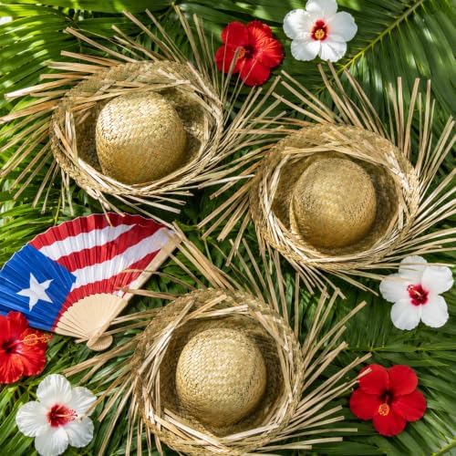 Hawaii Straw Hat Tree Topper Pava Hat Luau Puerto Rico Scarecrow Decor - Image 3