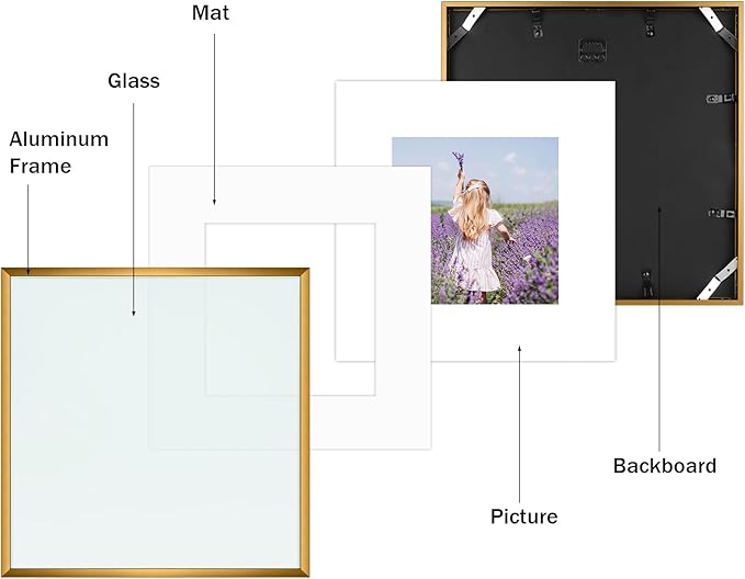Golden State Art, Gallery Wall Frame Set of 6 - Bronze 12x12 Aluminum Photo Frames with Mat for 8x8 Pictures - 12 x 12 inch Metal Frame with Real Glass Cover - Elegant Home or Office Decor