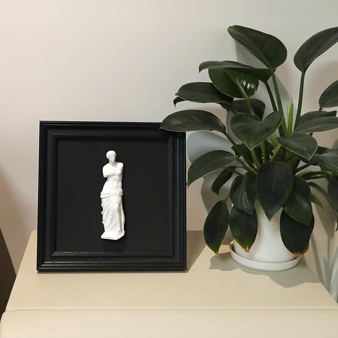 FOLKOR LIFE Framed Black and White Wall Art Sculpture Venus de Milo, Greek Roman Mythology Goddess Aphrodite Statue Framed Plaster Relief Wall Decor for Living Room, Hallway, Entryway Decoration