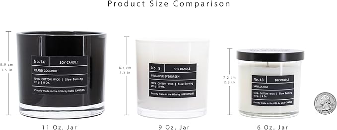 Lulu Candles | Passionfruit Infused Mango | Highly Scented Premium Candles in Giftable Box for Home and Office | Vegan Soy Blend Jar Candle with 100% Cotton Wick | Slow Burning & Long Lasting (9 Oz.)