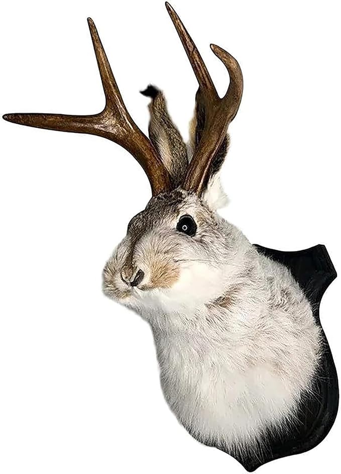 HSOSK Jackalope Mount, Jackalope Taxidermy, Deer Head Wall Mount, Resin Deer Head Animal Wall Art, for Home Wall Decoration