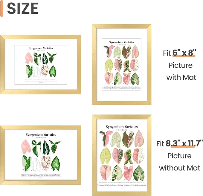 upsimples A4 Picture Frame, Display Pictures 6x8 with Mat or 8.3 x 11.7 Without, Wall Hanging Photo Frames, Gold, 1 Pack