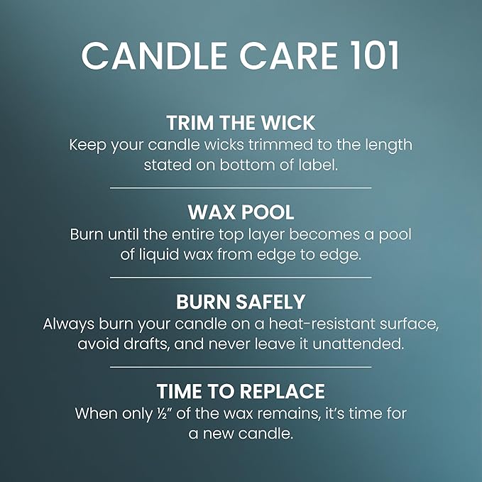 Yankee Candle Medium Pillar Scented Candle with up to 115 Hour Burn Time, Premium Plant Wax Blend for Consistent Burn, 14.25 oz Pillar Candle with Room Filling Fragrance, Bayside Cedar