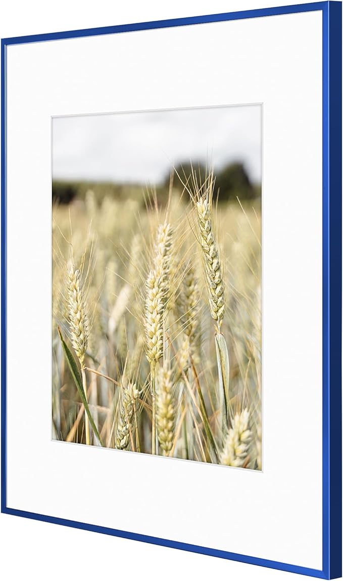 Golden State Art 16x20 Picture Frame 6 Pack - Navy Blue Aluminum Photo Frames With 11x14 Mats and Real Glass Cover - Elegant Minimalist Wall Gallery Frames for Home or Office Decor