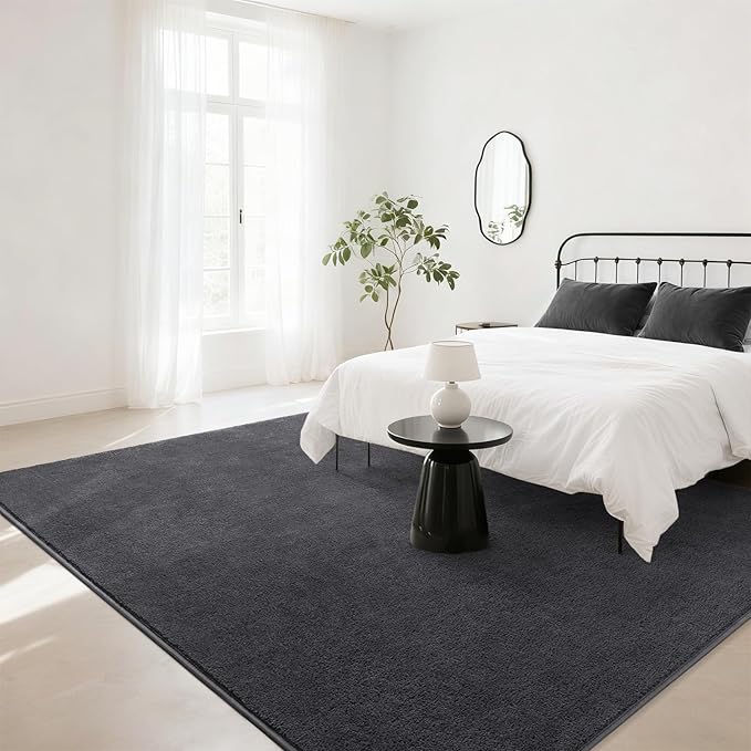 Soft Rugs for Living Room 4x6 Dark Grey, Minimalist Area Rug for Bedroom Nursery Dining Table Dorm, Throw Rugs for Men Boys Girls Kids Room Indoor Floor Carpets