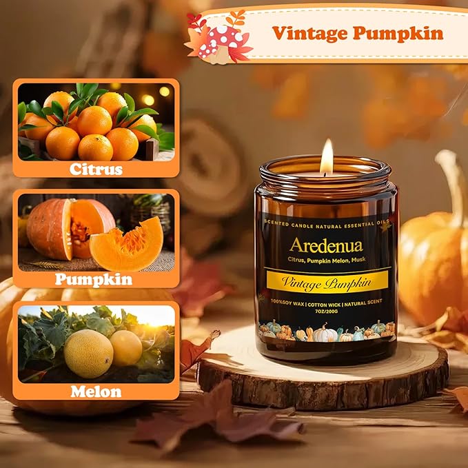 Vintage Pumpkin Candle – Warm Spiced Holiday Candles, Soy Candles for Home, Cozy Christmas Scent with Pumpkin, Cinnamon & Vanilla – Winter Aromatic Candle Gift for Women & Men