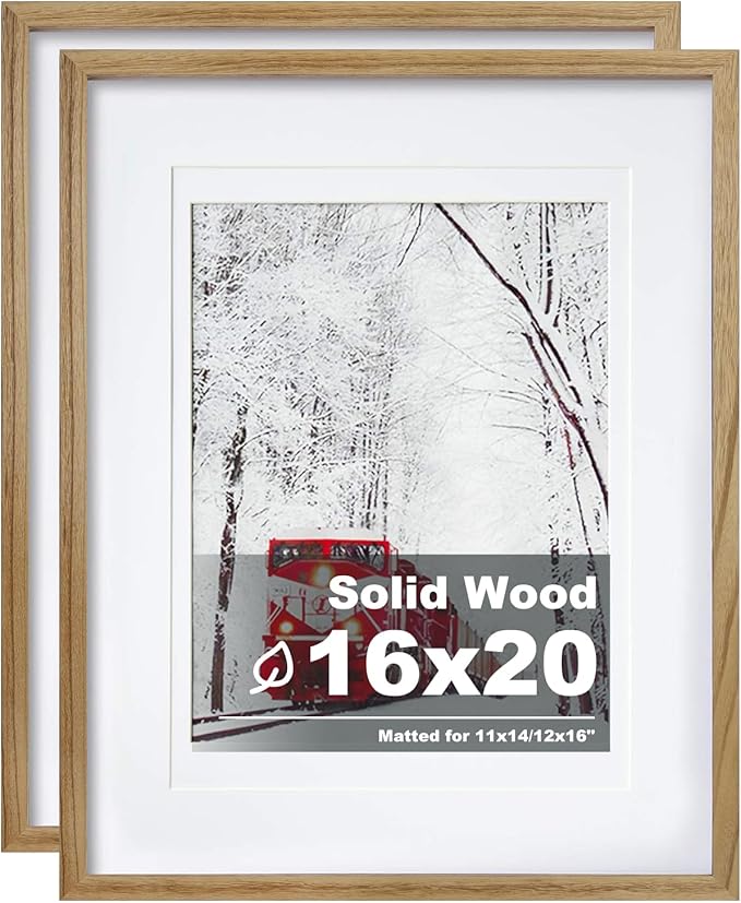 Egofine 16x20 Poster Frame Set of 2 Solid Wood Frame with Plexiglass Matted for 11x14/12x16 for Wall Mounting Hanging Picture Frame Vertically or Horizontally, Carbonization