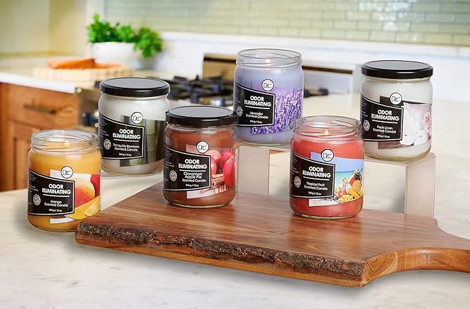 Bamboo Odor Eliminating Highly Fragranced Candle - Eliminates 95% of Pet, Smoke, Food, and Other Smells Quickly - Up to 80 Hour Burn time - 12 Ounce Premium Soy Blend