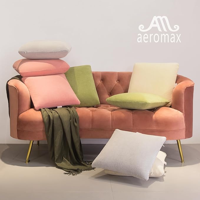 AM AEROMAX 20 ×20 Throw Pillow Memory Foam Pillow Insert - Square Accent Pillow for Decorative Cushion Bed Couch Sofa - Non-Deforming Over Time