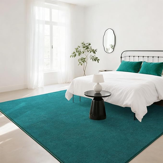 Soft Rugs for Living Room 5x7 Teal Green, Minimalist Area Rug for Bedroom Nursery Dining Table Dorm, Throw Rugs for Men Boys Girls Kids Room Indoor Floor Carpets