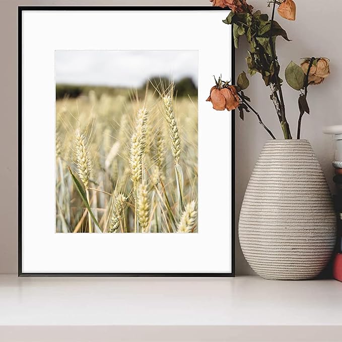 Golden State Art, Gallery Wall Frame Set of 6 - Black 16x20 Aluminum Photo Frames with Mat for 11x14 Pictures - 16 x 20 inch Metal Frame with Real Glass Cover - Elegant Home or Office Decor