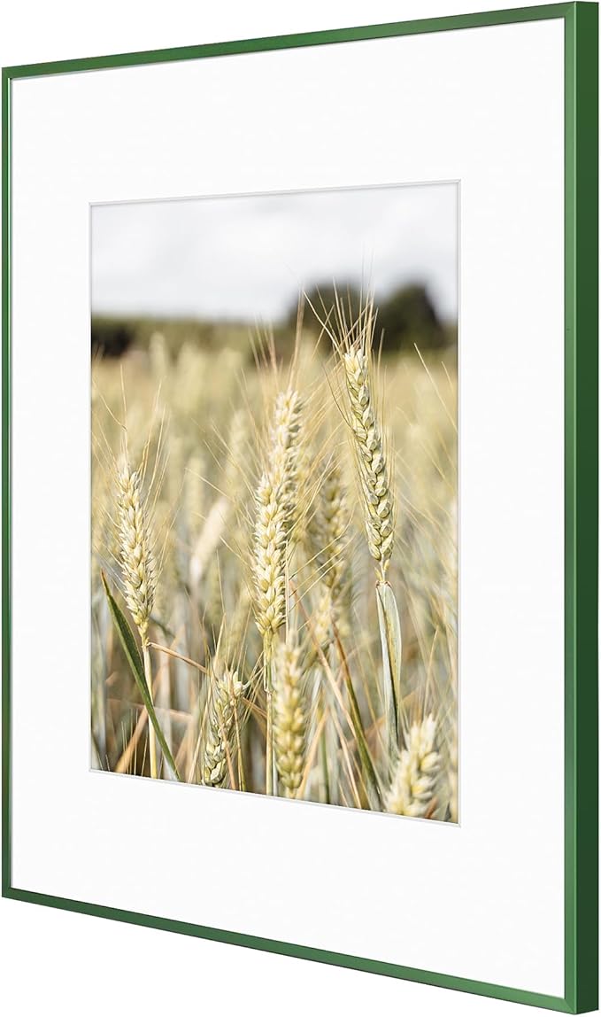 Golden State Art 16x20 Picture Frame 6 Pack - Dark Green Aluminum Photo Frames With 11x14 Mats and Real Glass Cover - Elegant Minimalist Wall Gallery Frames for Home or Office Decor