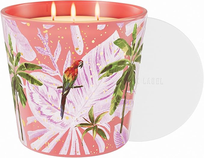 Sangria Sunshine Scented Candle, 30oz Natural Soy Wax Non Toxic, Large 3-Wick Luxury Aromatherapy Candle for Home | 100+ Hour Slow-Burn for Home Decor, Stress Relief, SPA