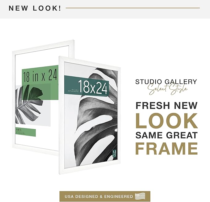 MCS Studio Gallery 18x24 Poster Frame White Woodgrain Engineered Wood, Vertical & Horizontal Wall Hanging Large Picture Frame for Photos, Posters & Art Prints (1-Pack)
