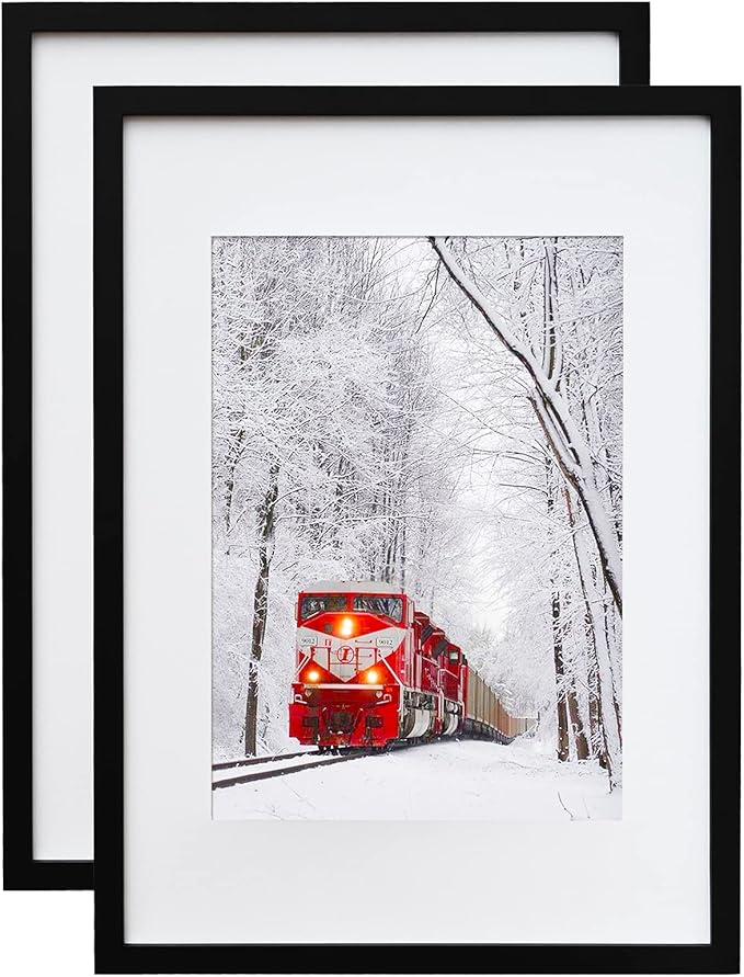 Egofine A2 Picture Frames Set of 2 Matted for A3 - Solid Wood Acrylic Plexiglass Front for Wall Mounting Hanging Vertically or Horizontally, Black - 16.5 x 23.4 in