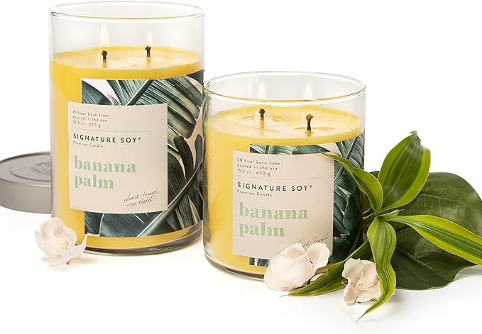 Signature Soy Scented Candle, Banana Palm, Extra Large Jar
