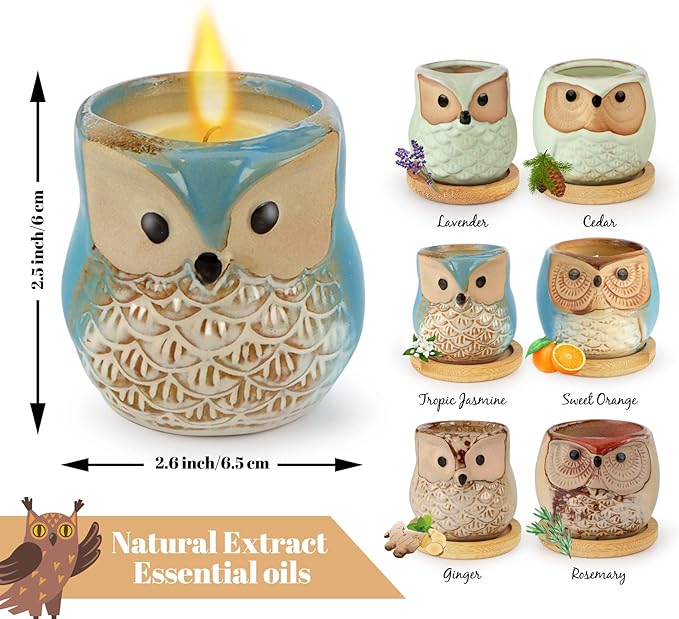 Scented Candles Birthday Gifts for Women, Owl Gifts for Women, 6 Pack Novelty Owl Aromatherapy Candle Bulk Gift for Birthday Mother's Thanksgiving